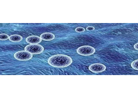 第二十一期：使用Himac超速离心机进行外泌体（Exosome）的分离纯化